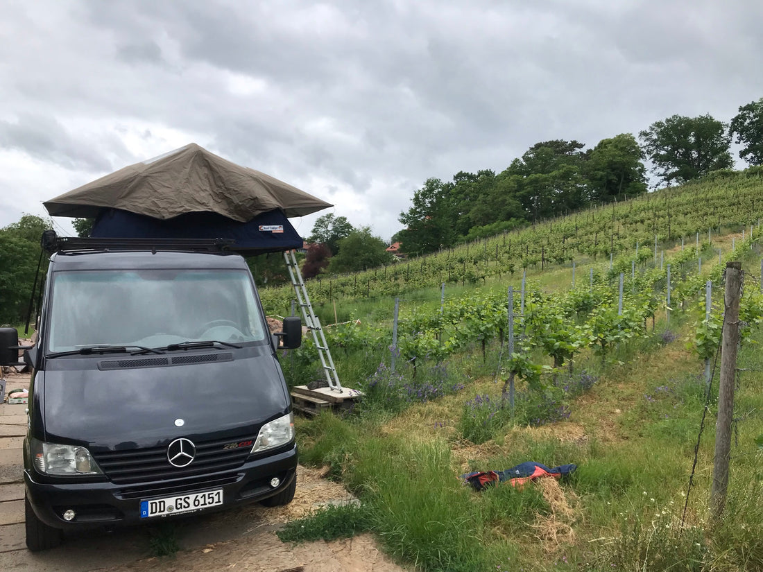 Black Mercedes Sprinter with roof rack in the vinyard
